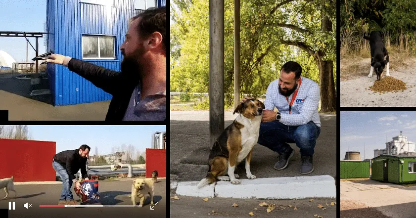 Visiting the dogs of Chernobyl  