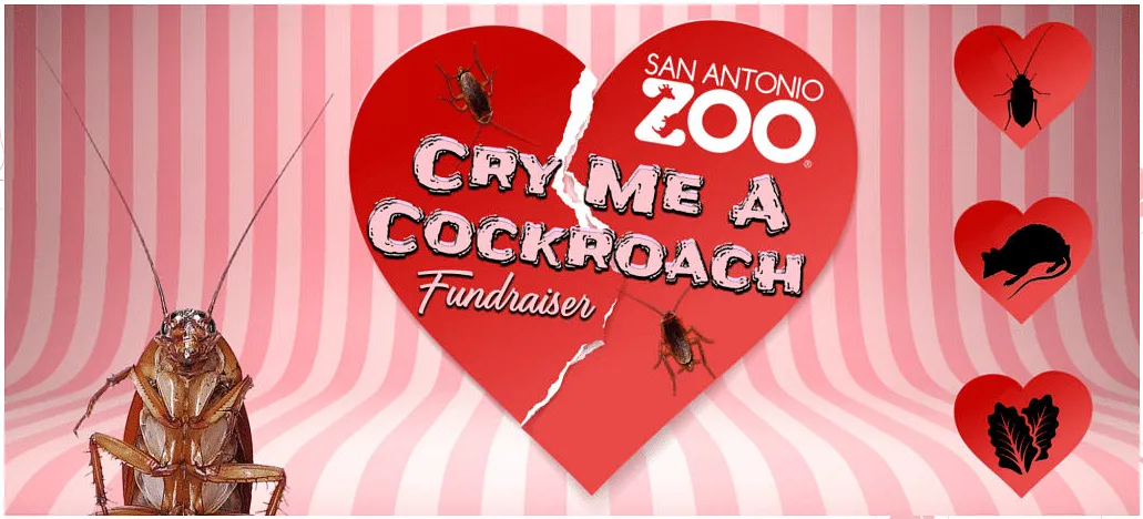 San Antonio Zoo Fundraiser  