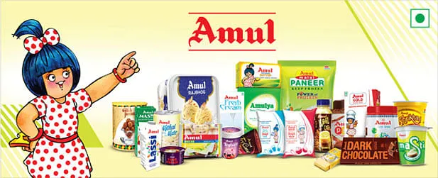 Amul portfolio  