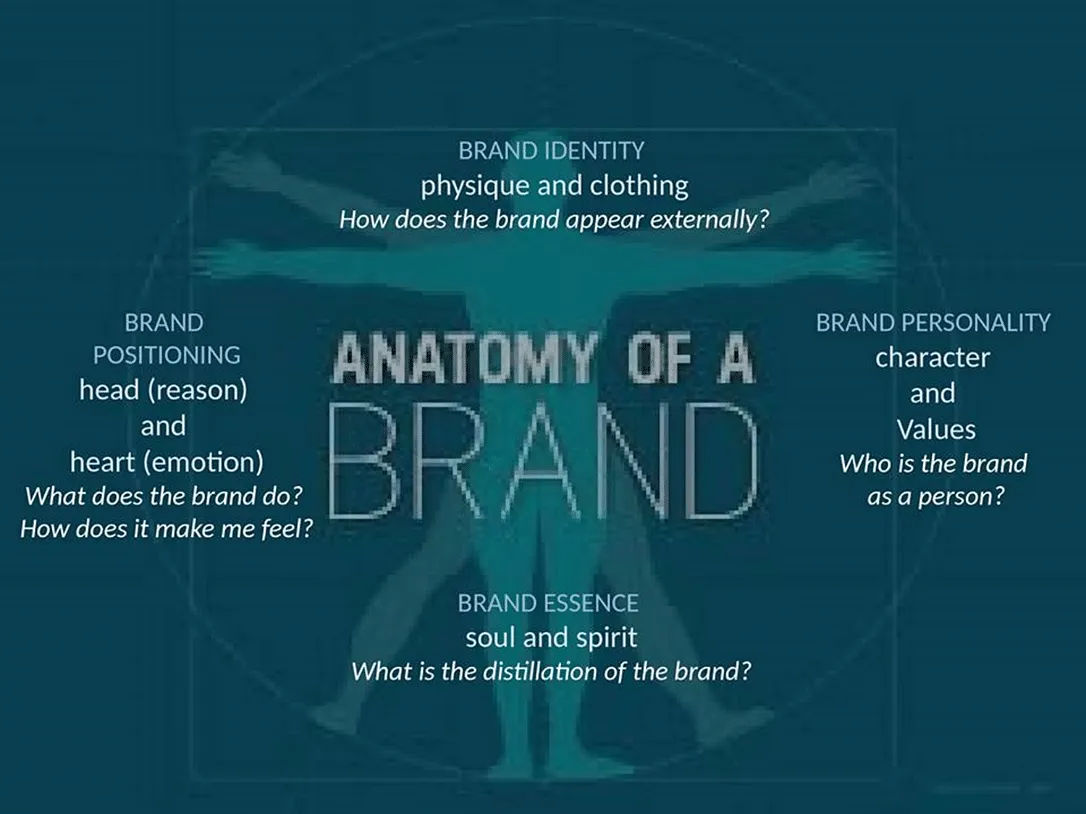 Graphical representation of the framework - ‘Brand Anatomy: Human Analogy’  