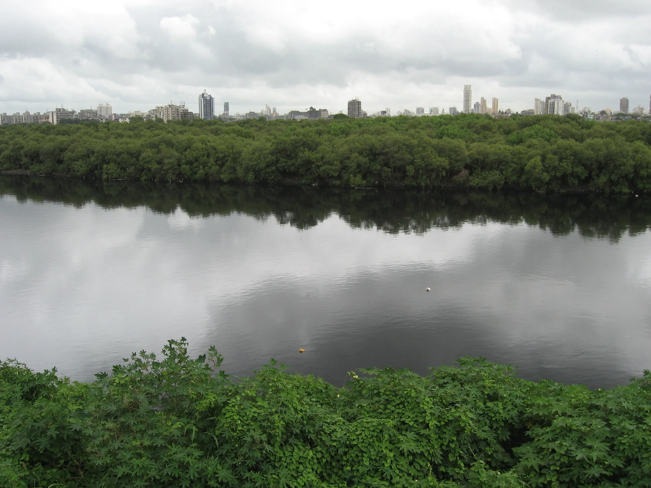 mumbai pollu