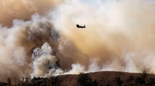 wildfire