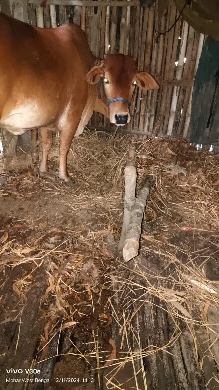 WhatsApp Image 2024-12-12 at 5.05.18 PM