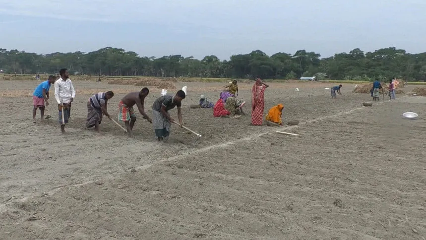 Farming