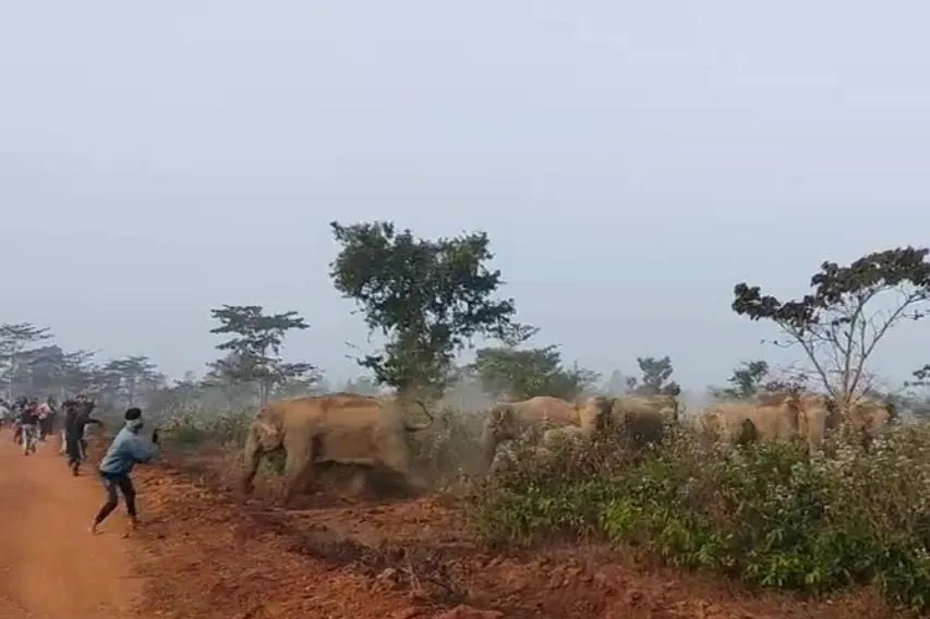 WhatsApp Image 2025-01-01 at 19.55.17