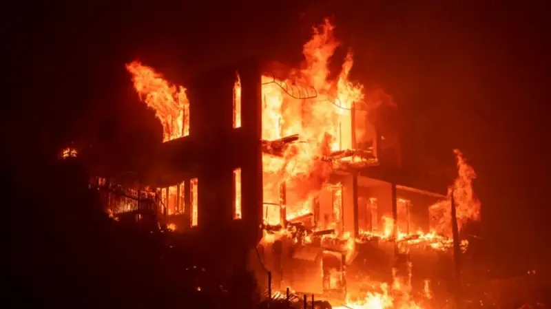Wildfire
