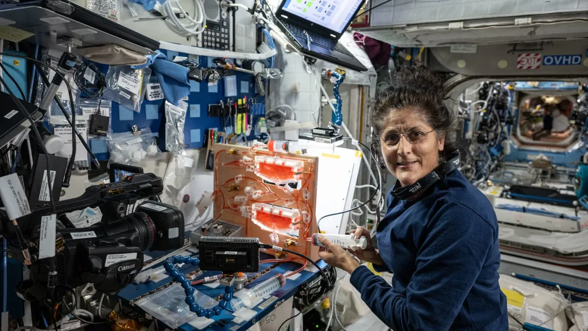 Sunita Williams 