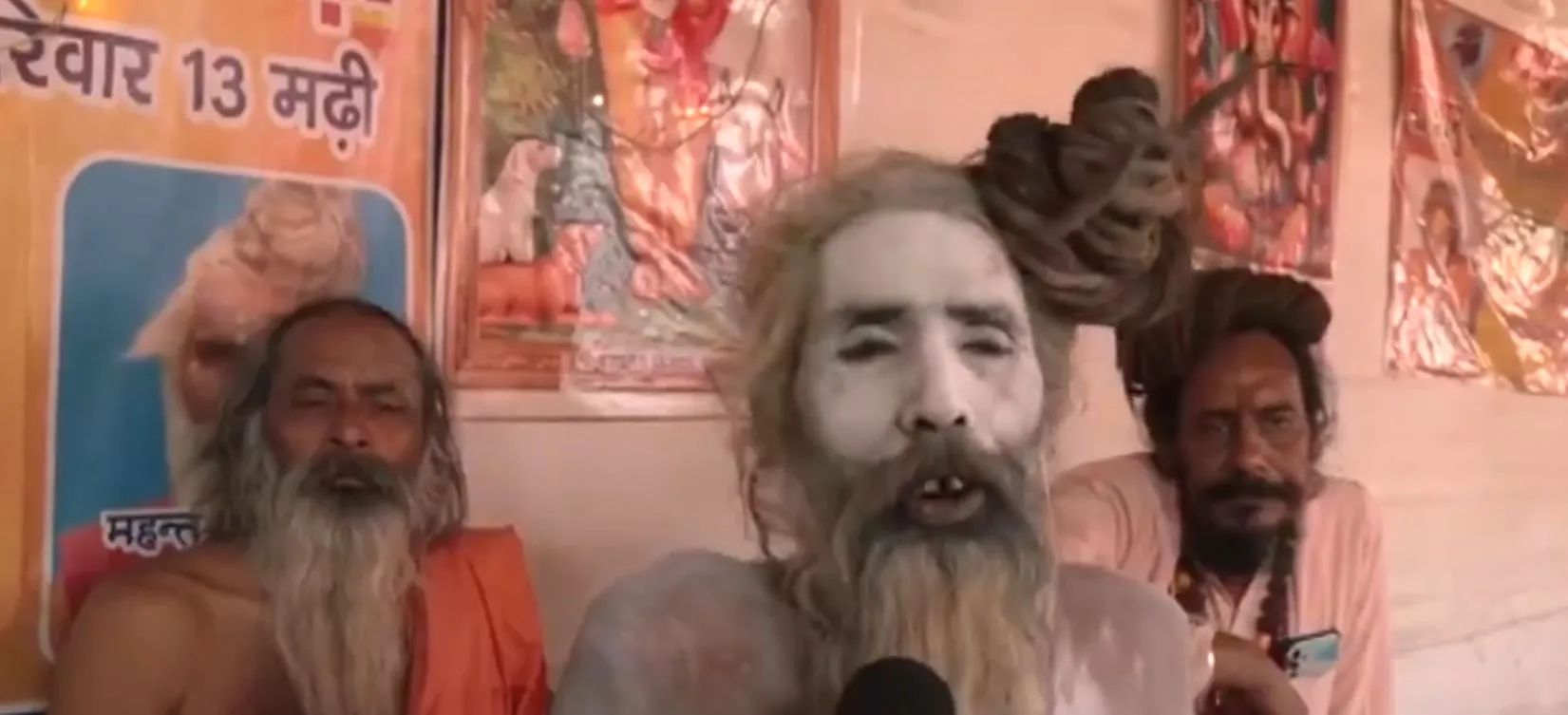 mahakumbh sadhu