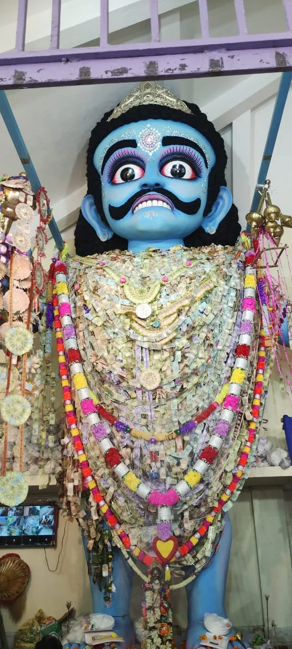 WhatsApp Image 2025-02-08 at 14.42.28