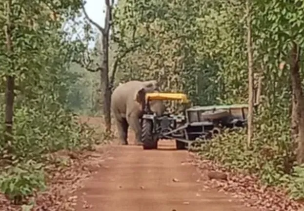 WhatsApp Image 2025-02-26 at 20.12.08