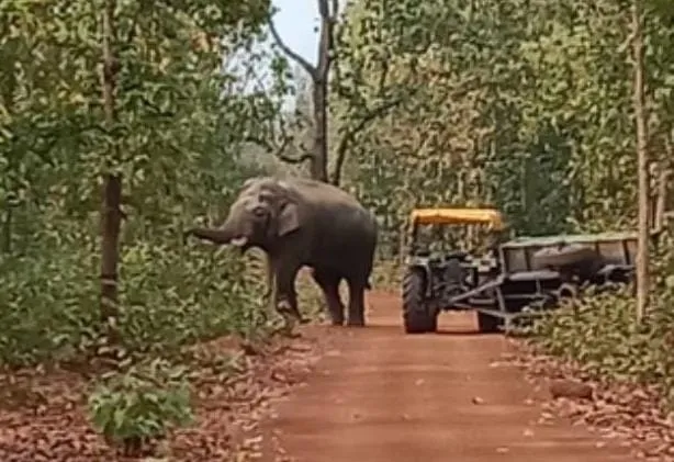 WhatsApp Image 2025-02-26 at 20.12.09