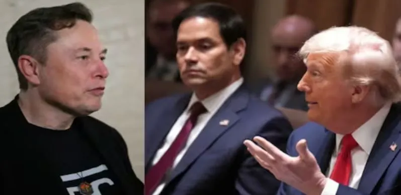 donald trump and elon musk