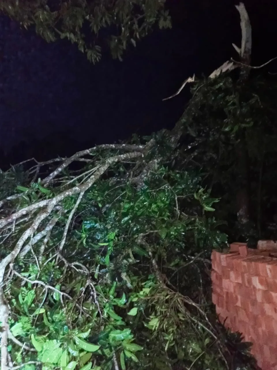 WhatsApp Image 2025-03-18 at 08.05.44