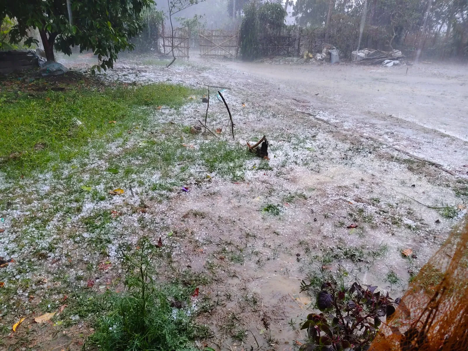 WhatsApp Image 2025-03-21 at 10.32.33 PM