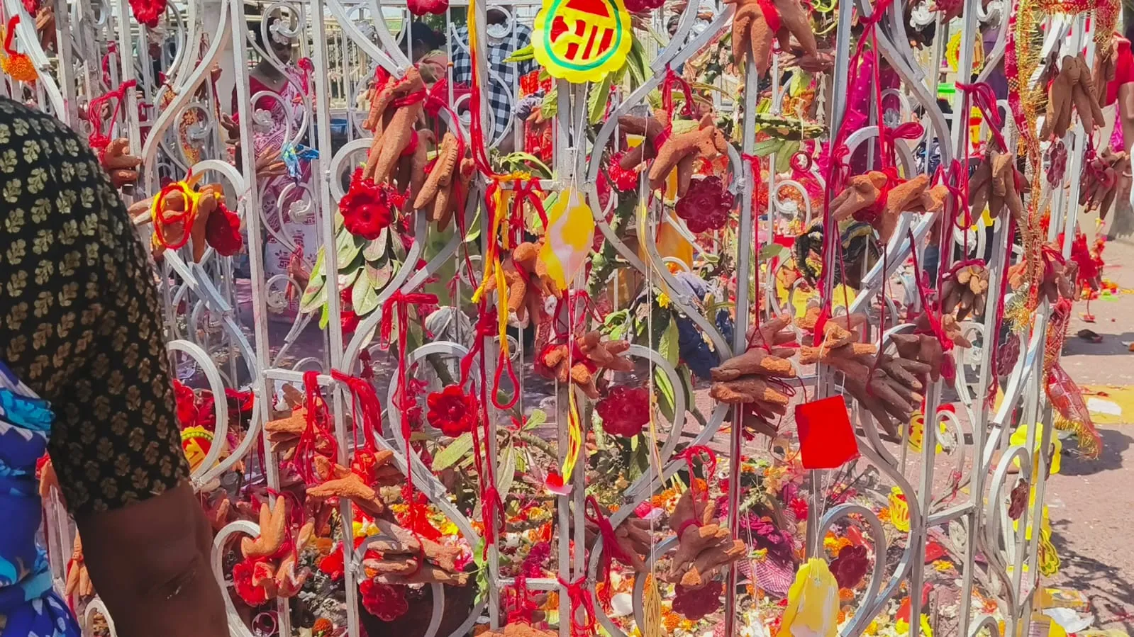 WhatsApp Image 2025-04-01 at 1.37.33 PM