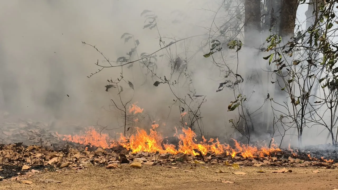 WhatsApp Image 2025-04-04 at 14.01.11 (1)