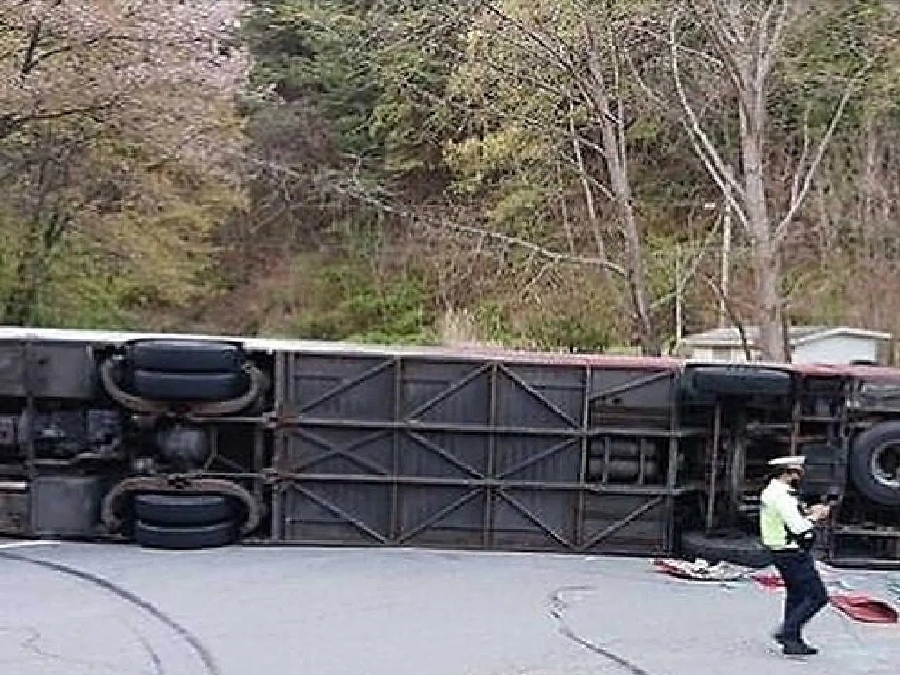 Bussssssssssssssssss