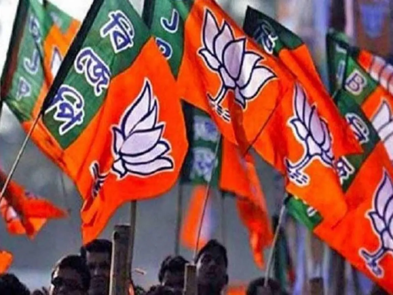 bjp flag