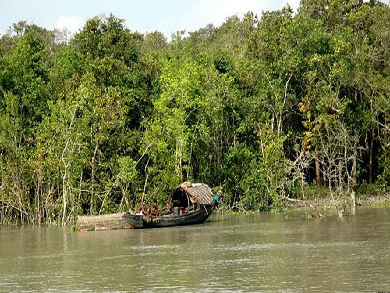 sundarbanq1.jpg