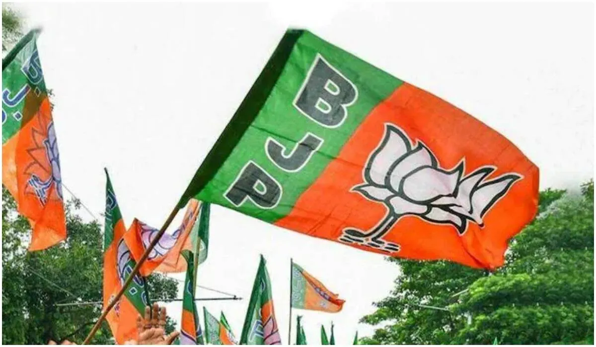 bjp flag