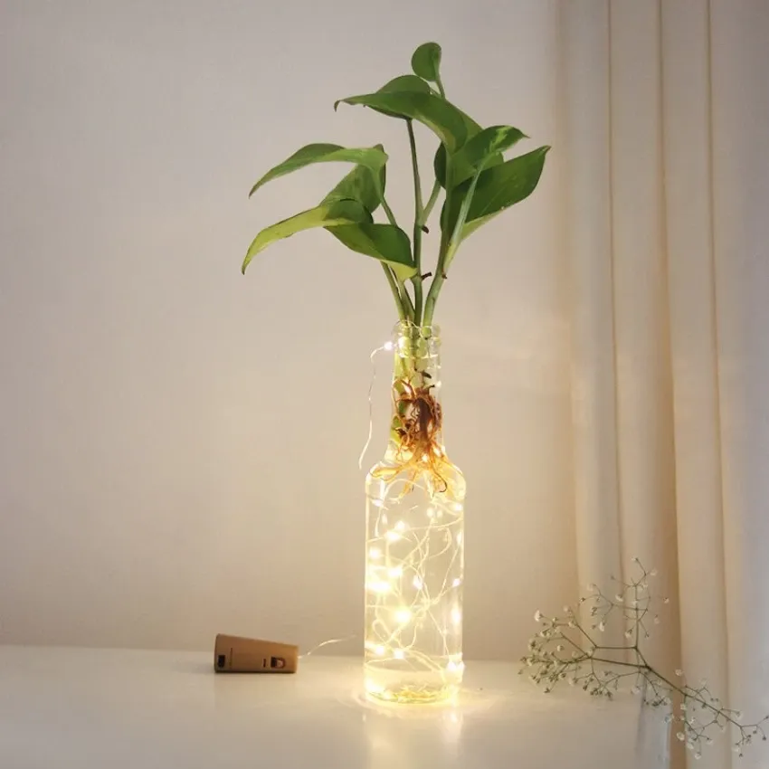 money-plant-with-decorative-led-bottle-for-home-decor-1-original-imag4vgkvz5jw3aj.