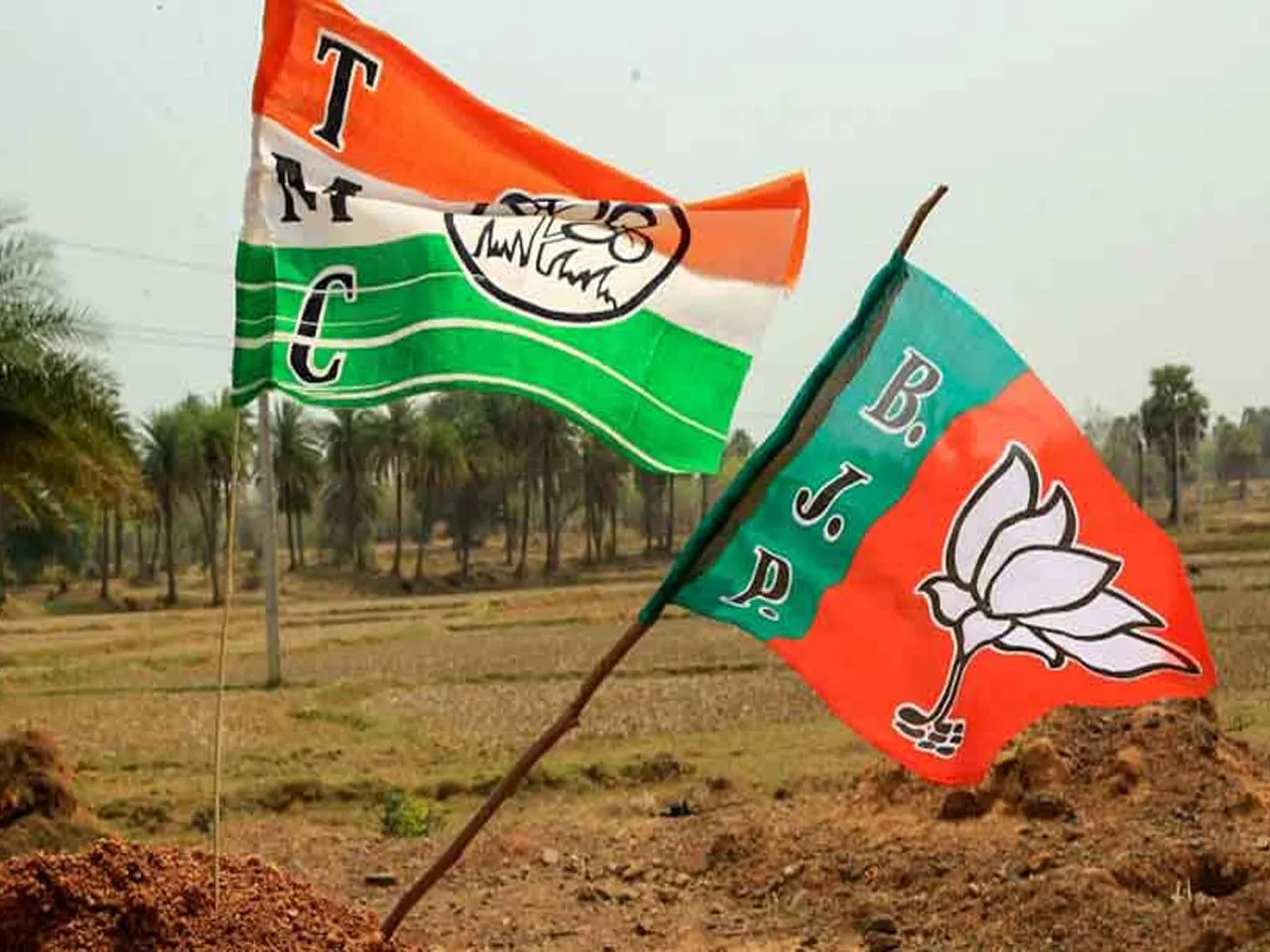 tm c bjp flag