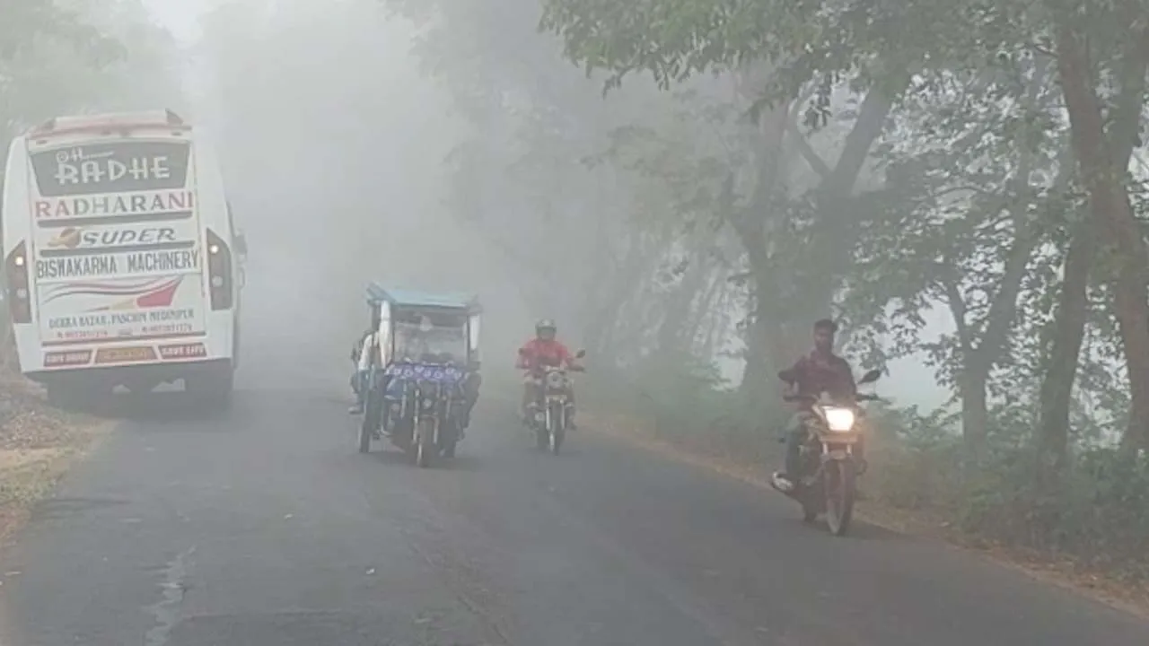 fog