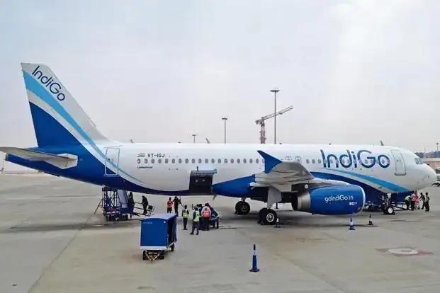 indigo 