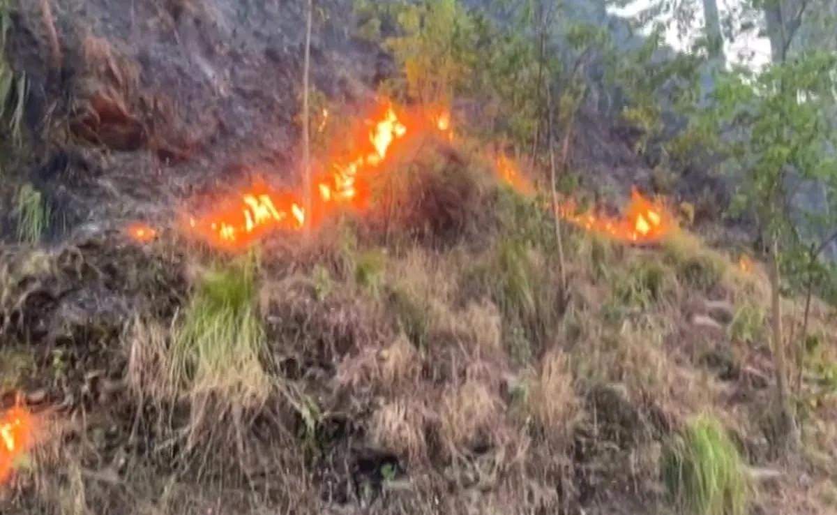 uttarakhand-forest-fire_625x300_06_May_24.jpg