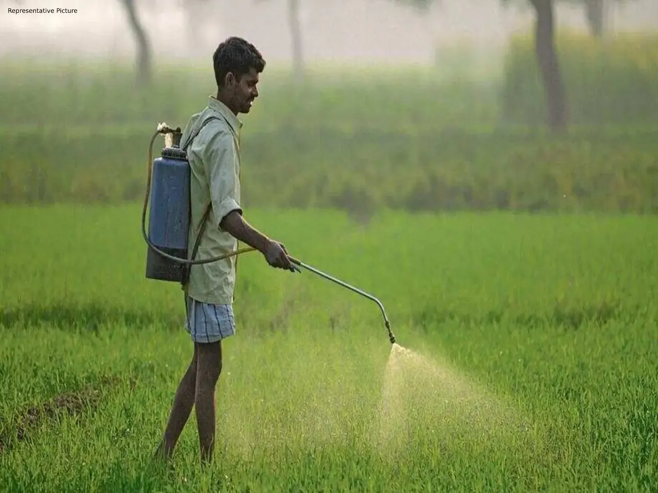 Farmer