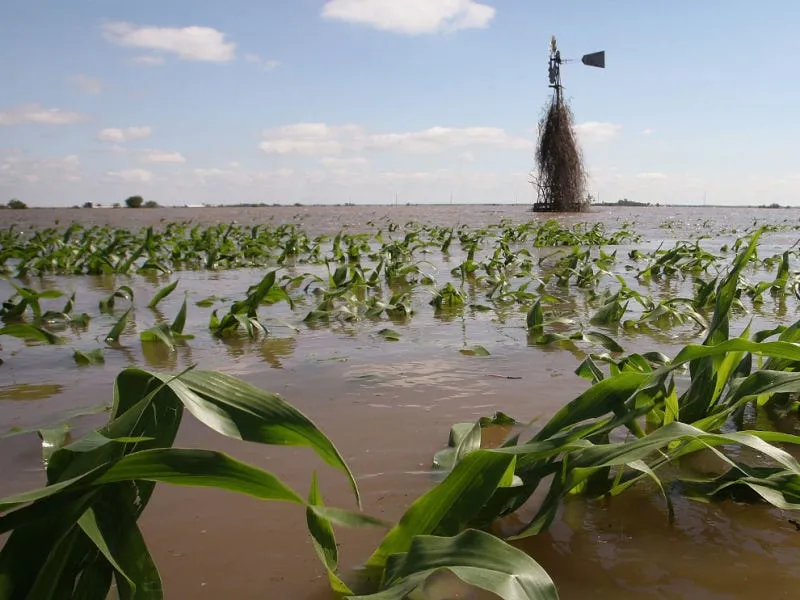 floodagri