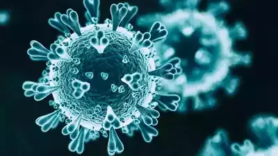 Nipa virus