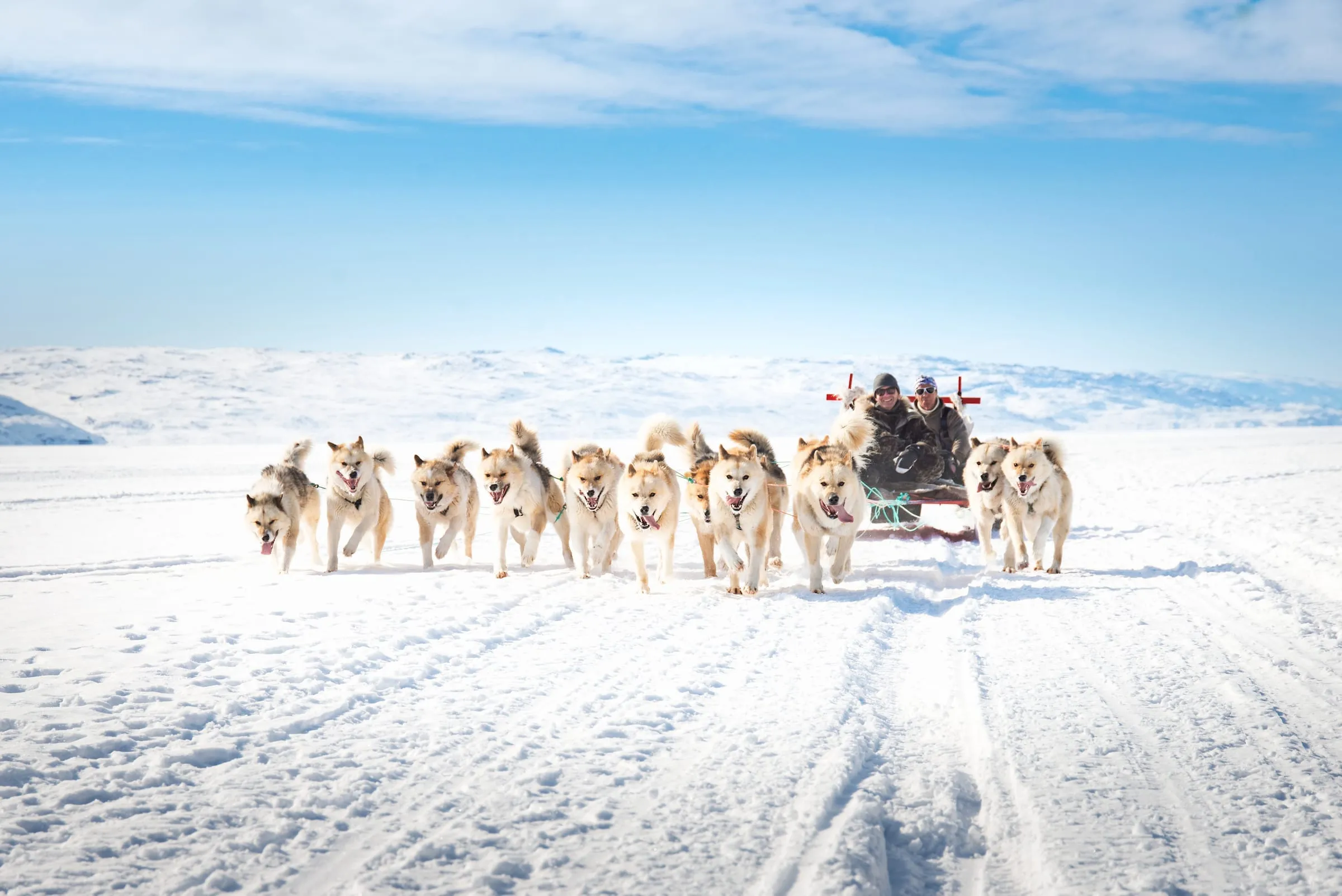 dogsledding-in-kangerlussuaq-photo-by-anders-beier-visit-greenland.jpg