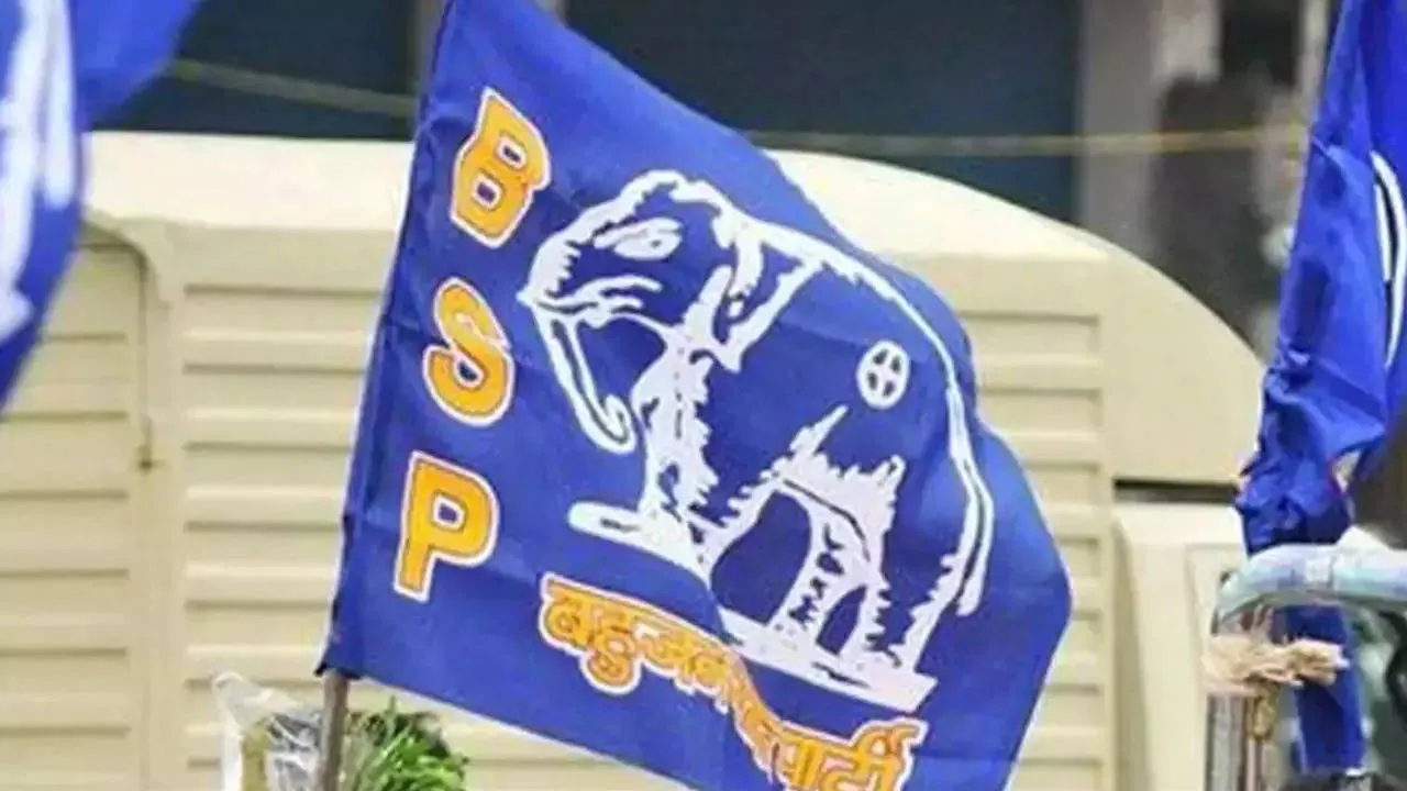 Bsp: Bsp 'bigger Party' In U'khand Than Up | Dehradun News - Times of India