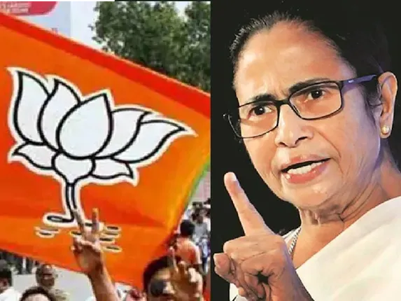 মুখ্যমন্ত্রী মমতার 'ফোঁস ফোঁস' নিদান! কার্বলিক অ্যাসিড ছিটিয়ে দিতে বললেন  BJP নেতা