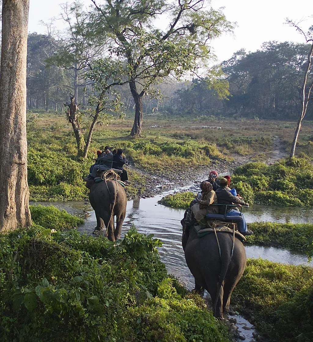 জলদাপাড়া জাতীয় উদ্যান - উইকিপিডিয়া