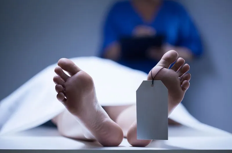 What Happens During A Post-Mortem? Find Out In This "Living Autopsy" |  IFLScience