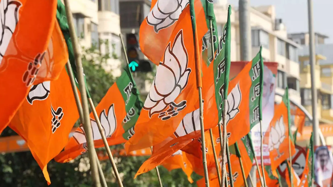 MP Elections: MP elections: BJP alleges deliberate removal of party symbol  and flags by officials, moves poll body | India News - Times of India