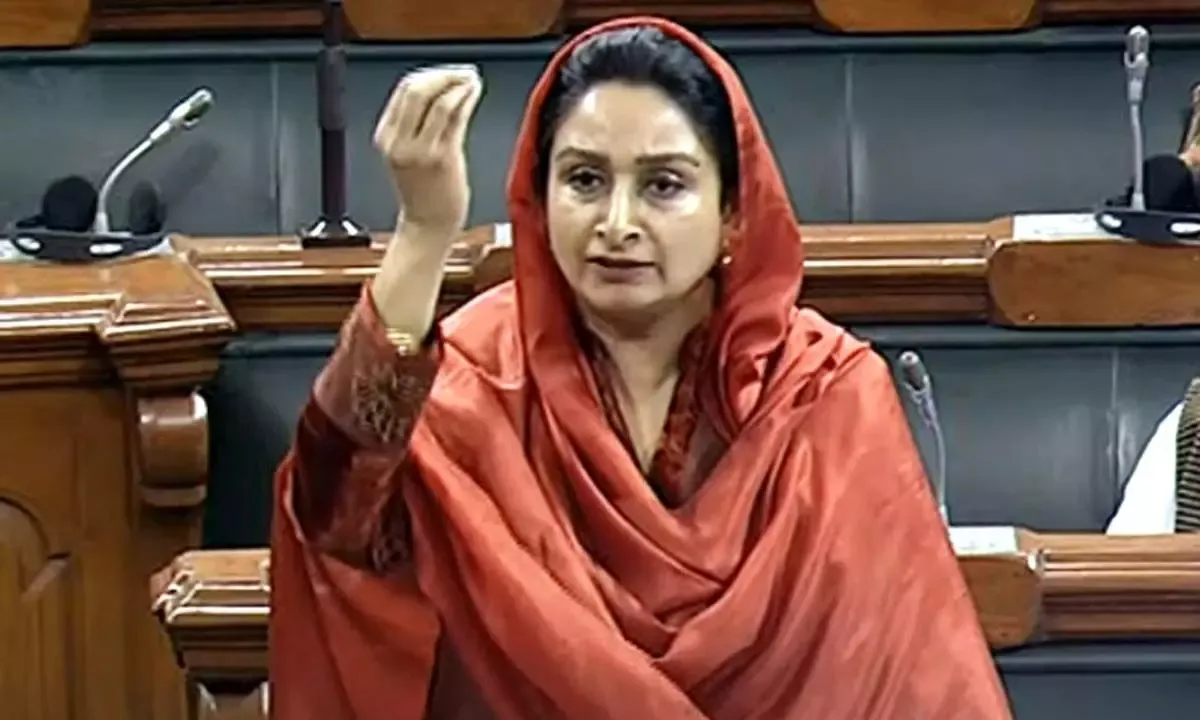 Bhagwant Mann 'drinking and driving' Punjab: Akali MP Harsimrat Kaur Badal