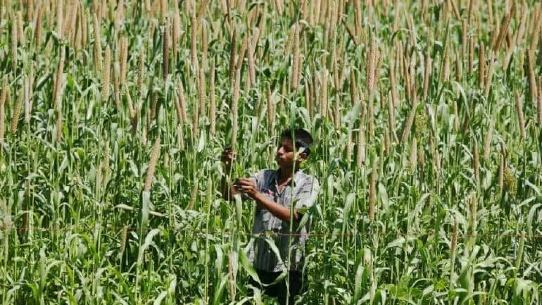 Biting the bullet on millets