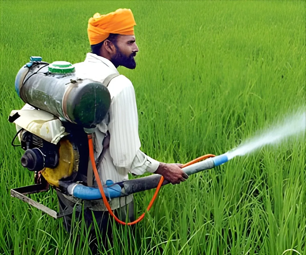 National Human Rights Commission Issues Notice To FSSAI Over Rise In  Pesticides In Food Items