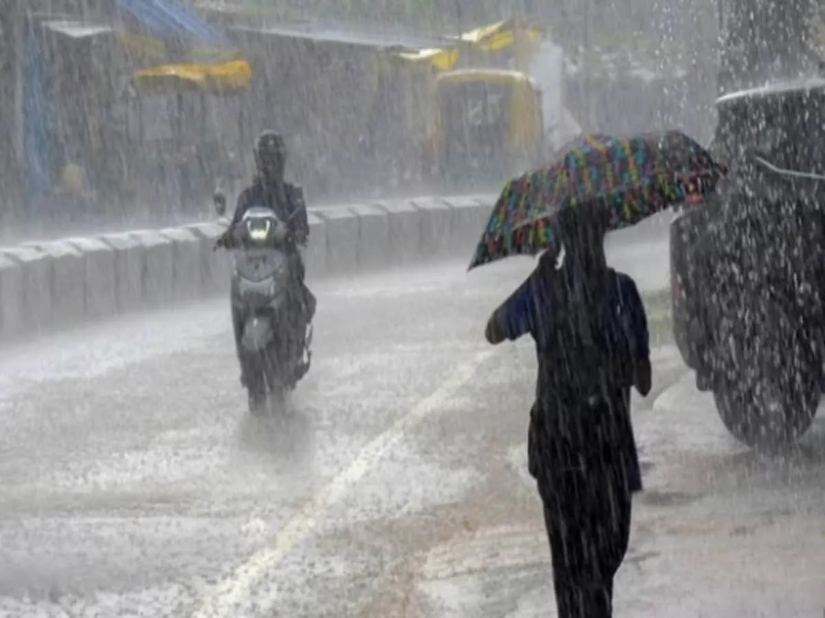 IMD Weather Update: Heavy Rain In Konkan, Goa Over Next Five Days - News18
