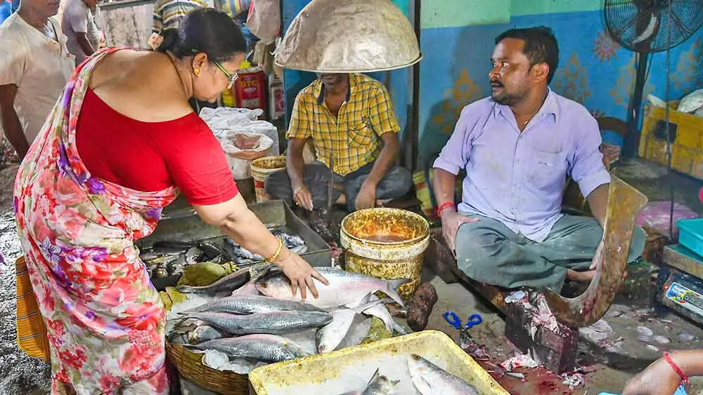 Hilsa | The price of hilsa is increasing - Anandabazar