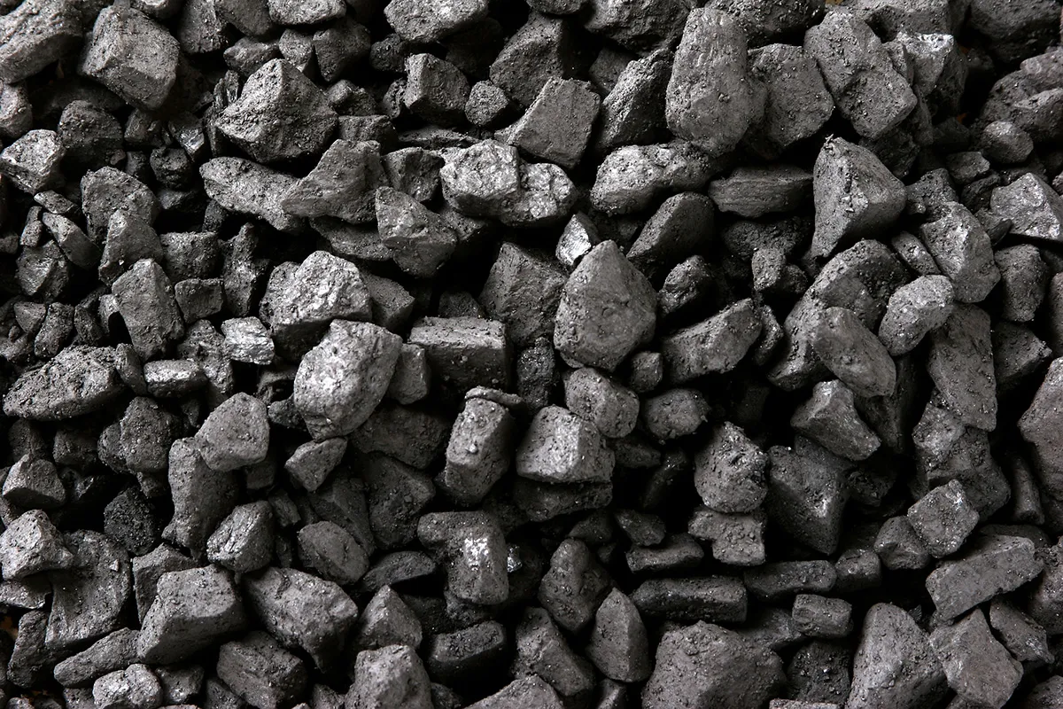 What are the different types of coal? | American Geosciences Institute