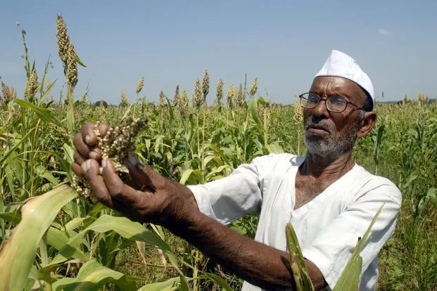 Maharashtra sends farmers abroad to learn innovative techniques