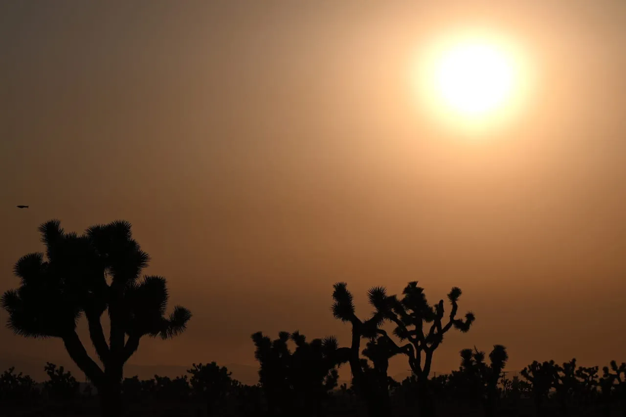 Heat-related deaths are expected to rise after 1.7 million people died in  2019 due to extreme temperatures: study - MarketWatch