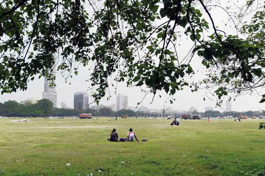 Calcutta Metro Rail | Calcutta High Court restricts tree uprooting for  Victoria metro station in Maidan area - Telegraph India