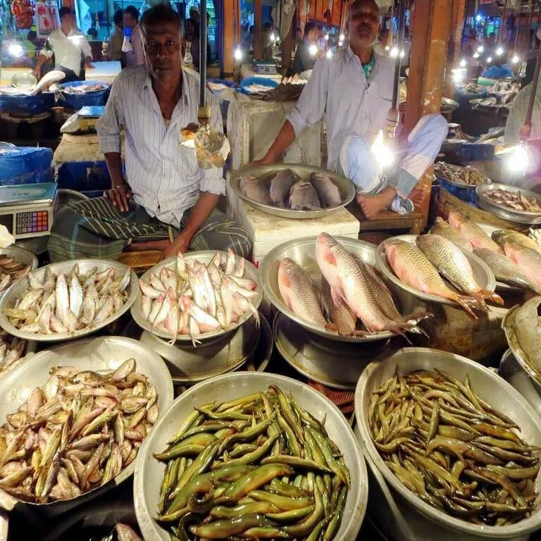 Diamond Harbour Fish Market | LBB