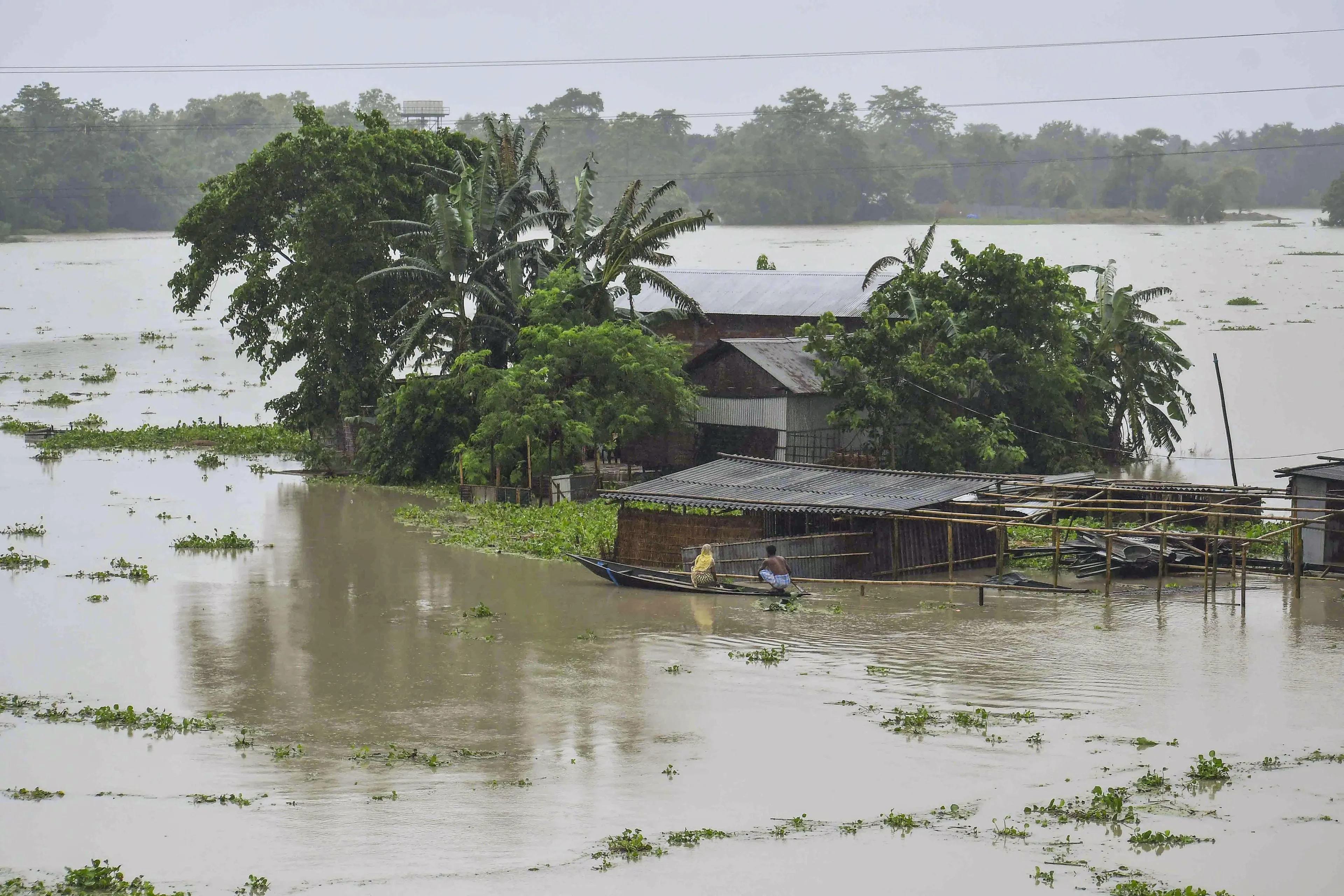 Assam flood crisis: Death toll touches 56, 16 lakh affected in 29 districts  | India News - Business Standard