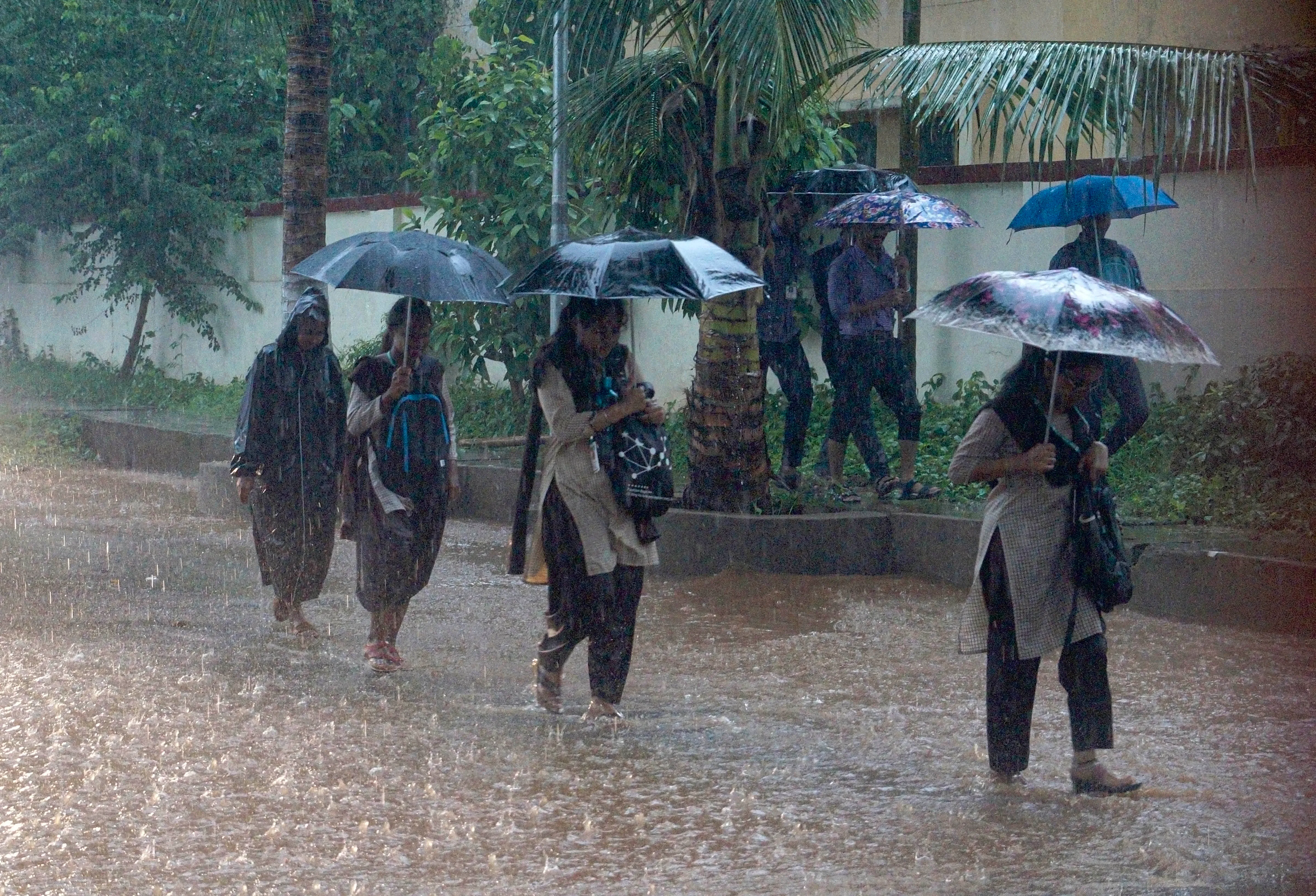 সপ্তাহের প্রথম দিনই ভারী বৃষ্টির সতর্কতা রয়েছে দক্ষিণ ২৪ পরগনা, পূর্ব ও পশ্চিম মেদিনীপুর, পুরুলিয়া, বাঁকুড়া, এই ৫ জেলায়।